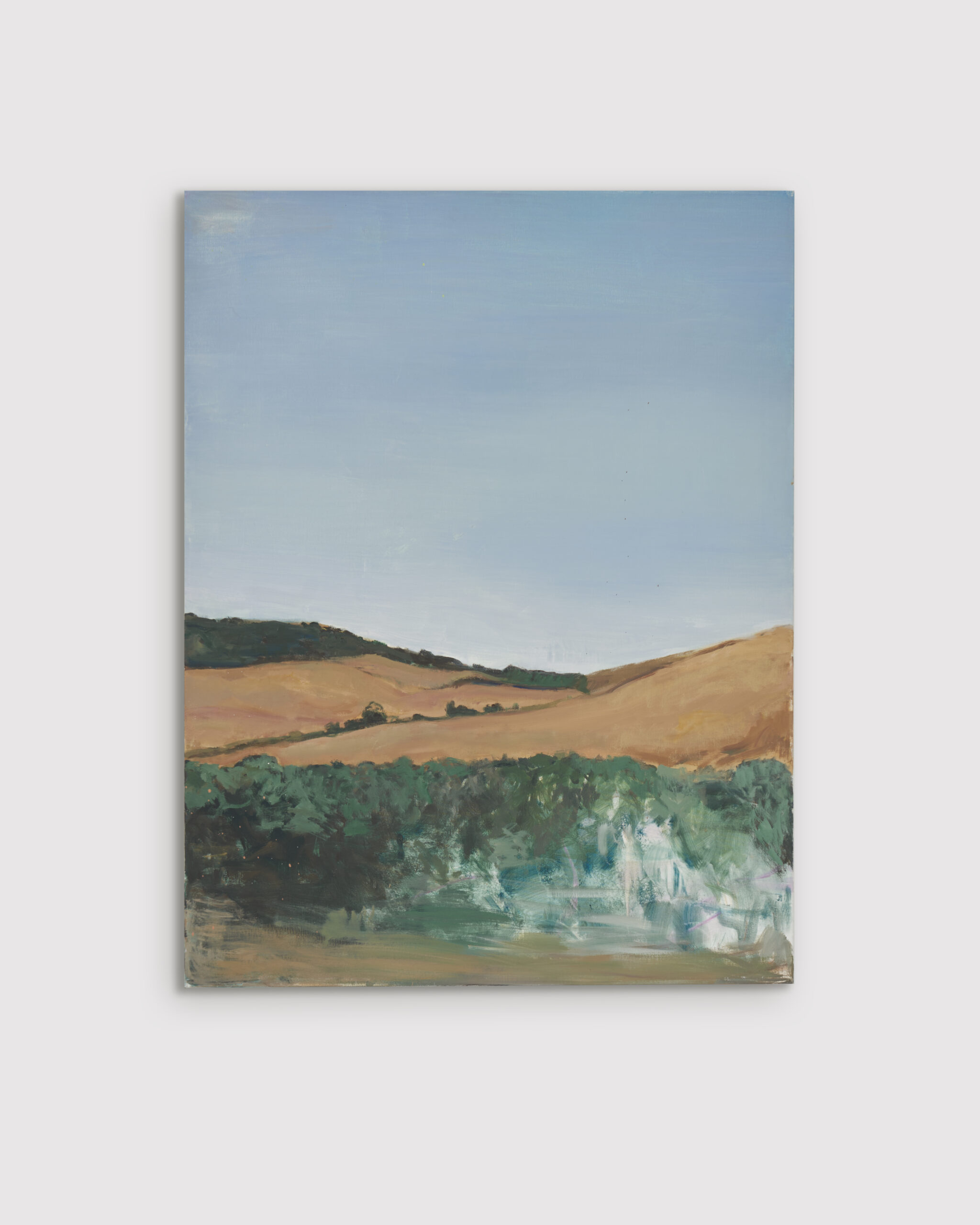 section-single-product-swiper-slide-img