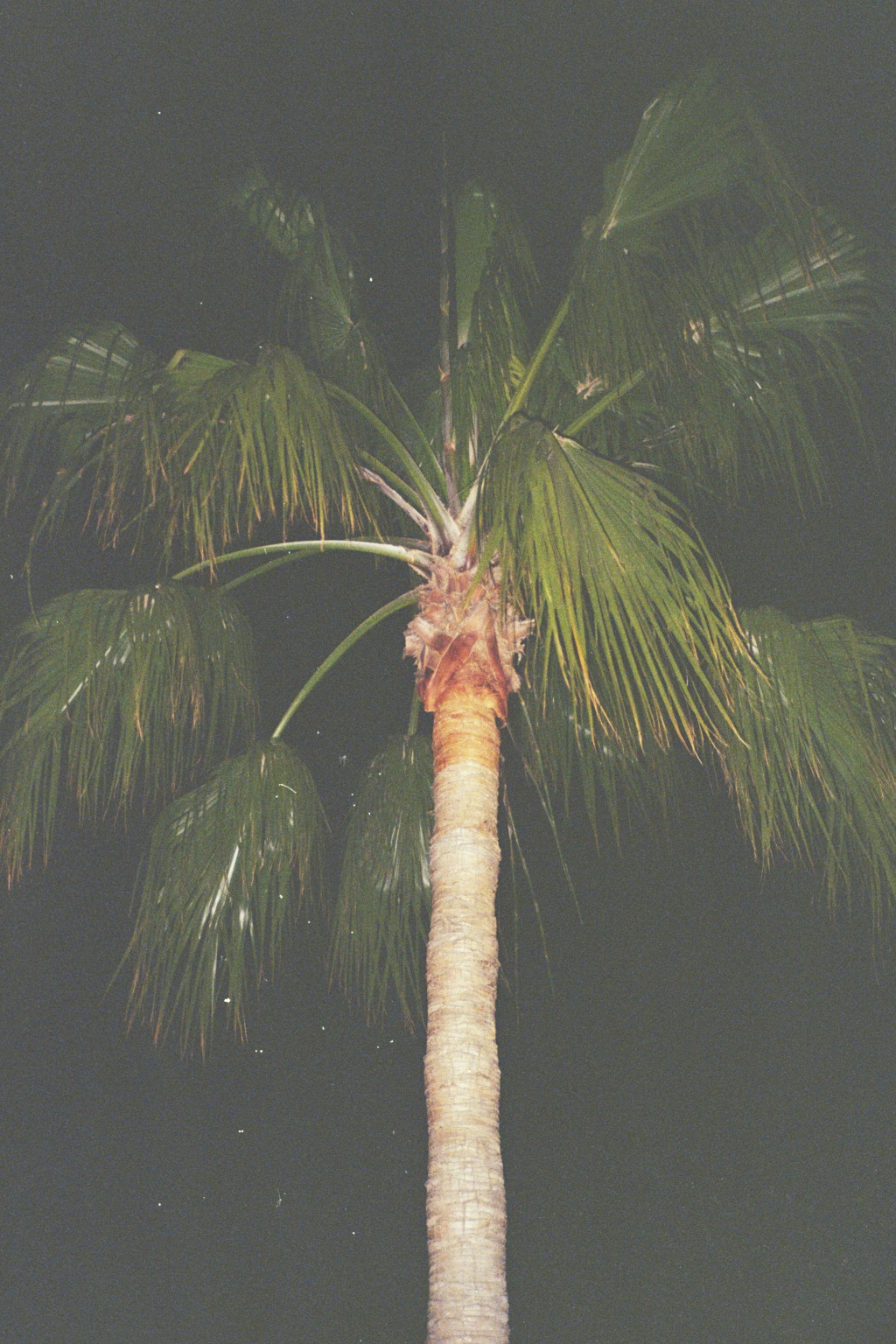 section-single-product-swiper-slide-img