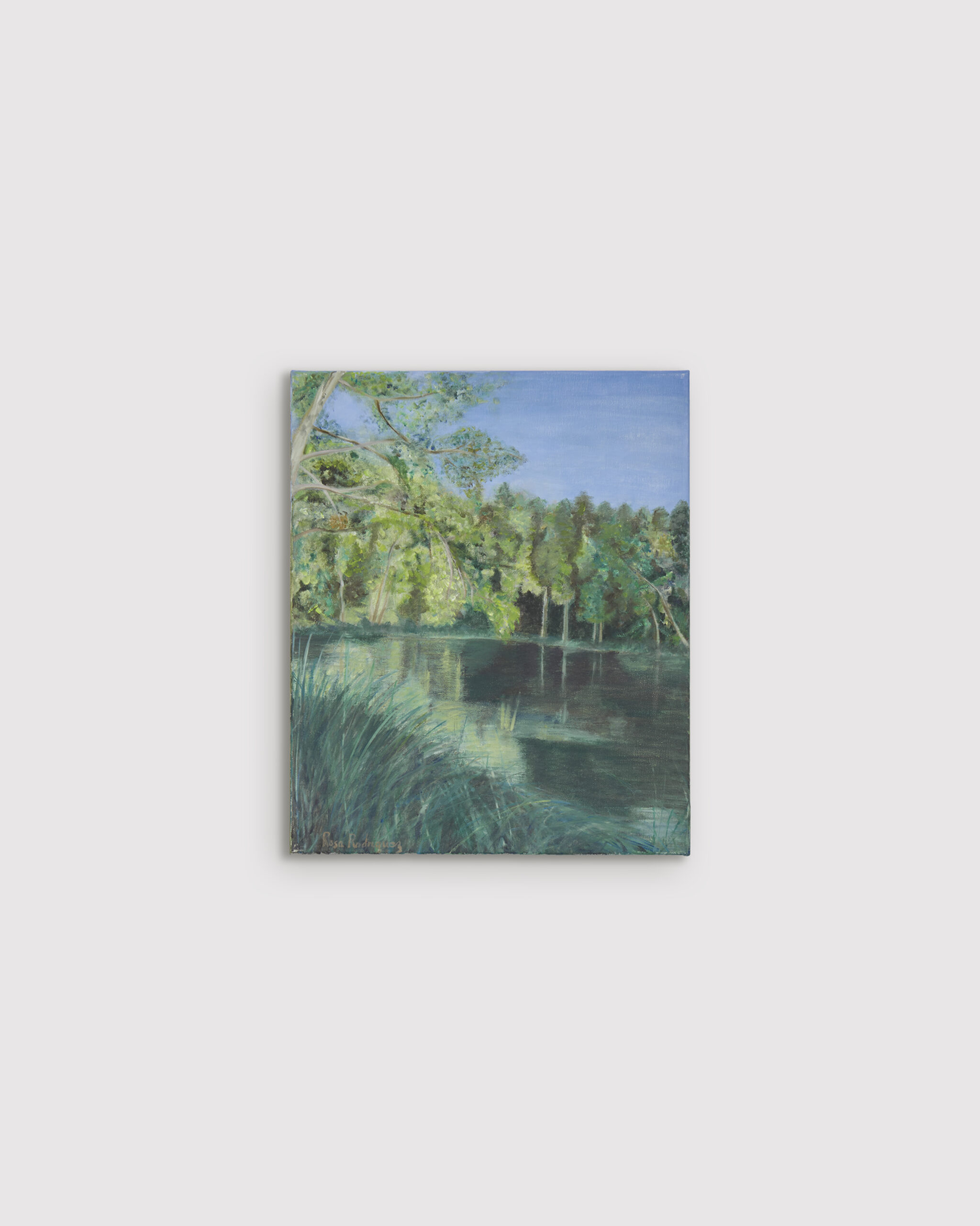 section-single-product-swiper-slide-img