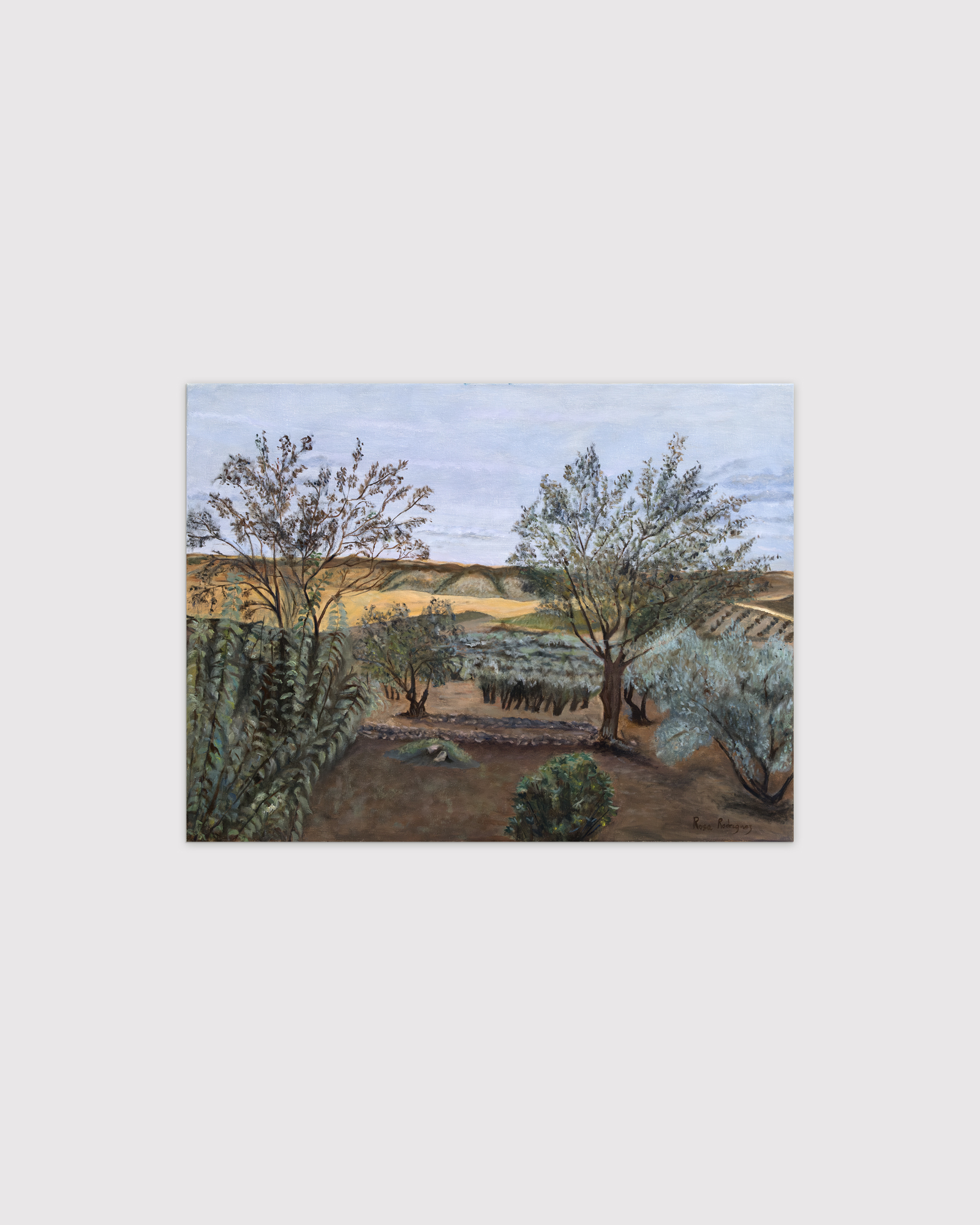 section-single-product-swiper-slide-img